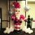 Holiday parties are so much more fun with Balloon Santa sculptures. We also do snowmen, christmas trees, reindeer, and winter wonderlands!!!